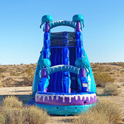 Jellyfish20Slide2019 1672638739 Jellyfish 19ft Waterslide