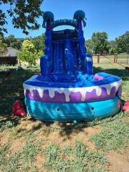 459318104 3902345273318126 5591083506447260126 n 1727062582 63 Jellyfish 15ft Waterslide