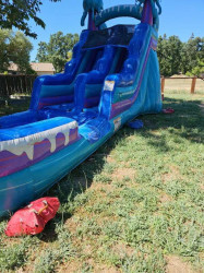 tj20cobb 1727062582 63 Jellyfish 15ft Waterslide