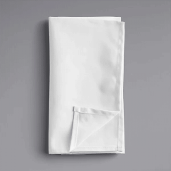 20x20 Napkin