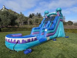 Jellyfish 15ft Waterslide