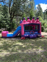 4817ef8a a9b1 4373 ba75 b1b026dbe5cc 1784265041 Princess Athletic Combo (Dry)