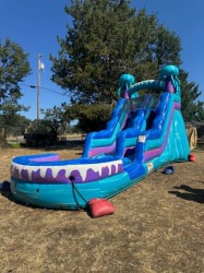 d74a2933 949a 4b9a 8298 3ddf606ea5a2 1784263962 1 Jellyfish 15ft Waterslide