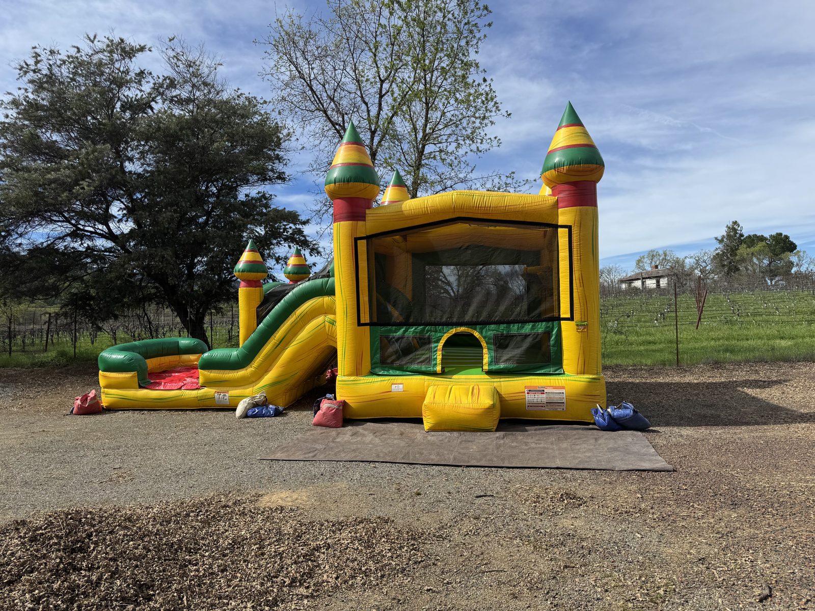 A Toads Jump yellow and green castle bounce house combo with a slide, set up on a tarp on gravel next to a vineyard in St Helena, CA